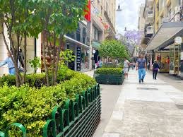 Florida Street in Buenos Aires with informal currency exchange signs 2026