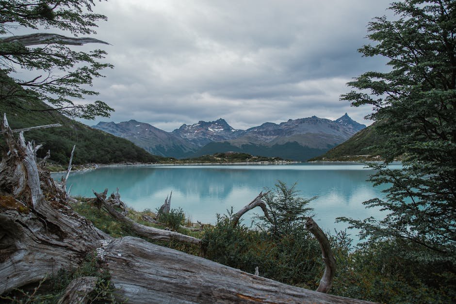 Serene landscape of Lake Escondido in Ushuaia with reflective waters and mountainous backdrop.